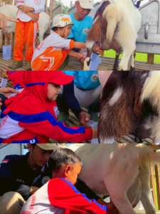 Picsart_25-05-30_08-42-14-644